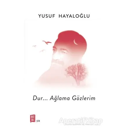 Dur... Ağlama Gözlerim - Yusuf Hayaloğlu - Mona Kitap