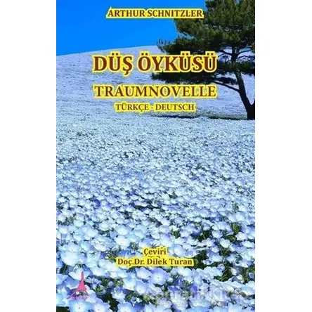 Düş Öyküsü - Traumnovelle - Arthur Schnitzler - Alter Yayıncılık