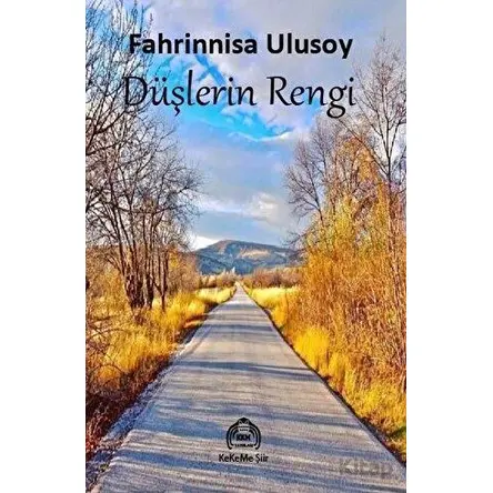 Düşlerin Rengi - Fahrinnisa Ulusoy - Kekeme Yayınları