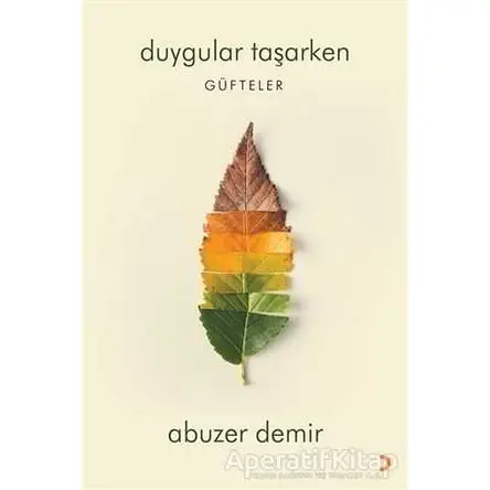 Duygular Taşarken - Abuzer Demir - Cinius Yayınları