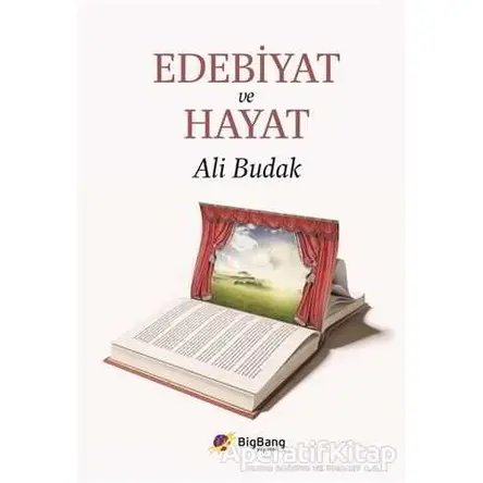 Edebiyat ve Hayat - Ali Budak - BigBang Yayınları