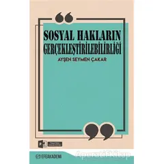 Sosyal Hakların Gerçekleştirilebilirliği - Ayşen Seymen Çakar - Efe Akademi Yayınları