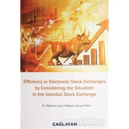Efficiency in Electronic Stock Exchanges by Considering the Situation in the Istanbul Stock Exchange