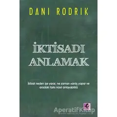 İktisadı Anlamak - Dani Rodrik - Efil Yayınevi