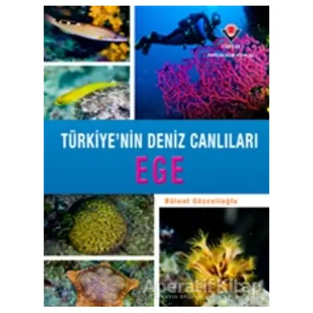 Ege - Türkiyenin Deniz Canlıları - Bülent Gözcelioğlu - TÜBİTAK Yayınları