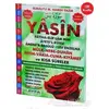 Yasin - Elmalılı Muhammed Hamdi Yazır - Ayfa Basın Yayın