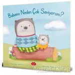 Babamı Neden Çok Seviyorum - Daniel Howarth - Mikado Yayınları