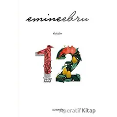 12 - Emine Ebru - Kafe Kültür Yayıncılık