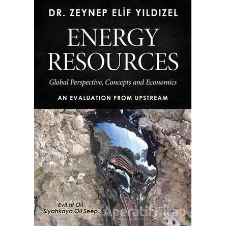 Energy Resources - Zeynep Elif Yıldızel - Cinius Yayınları