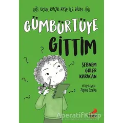 Gümbürtüye Gittim – Uçuk Kaçık Ayşe ile Bilim 2 - Şebnem Güler Karacan - Erdem Çocuk