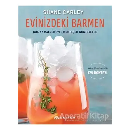 Evinizdeki Barmen - Shane Carley - Epsilon Yayınevi