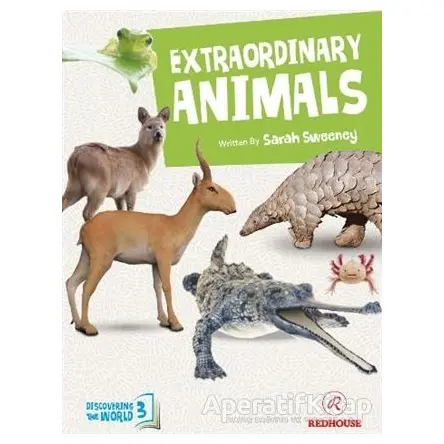 Extraordinary Animals - Sarah Sweeney - Redhouse Kidz Yayınları