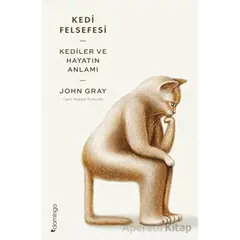 Kedi Felsefesi - Kediler ve Hayatın Anlamı - John Gray - Domingo Yayınevi