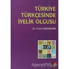 Türkiye Türkçesinde İyelik Olgusu - Fevzi Karademir - Kesit Yayınları