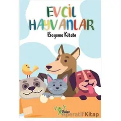 Evcil Hayvanlar - Boyama Kitabı - Kolektif - Fidan