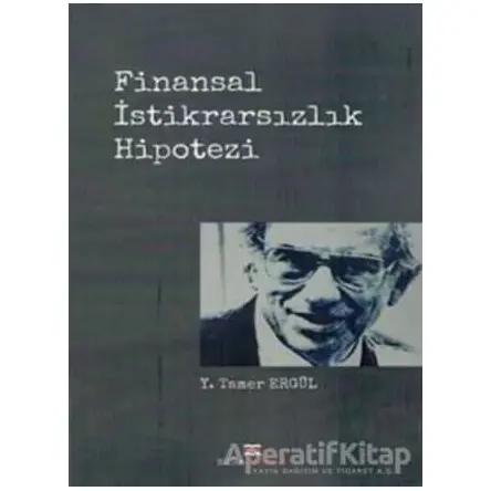 Finansal İstikrarsızlık Hipotezi - Y. Tamer Ergül - Bizim Kitaplar Yayınevi