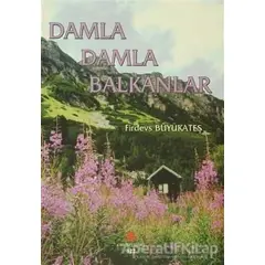 Damla Damla Balkanlar - Firdevs Büyükateş - Can Yayınları (Ali Adil Atalay)