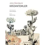 Krizantemler - John Steinbeck - İnka Yayınları