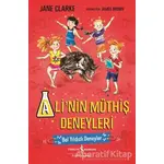 Ali’nin Müthiş Deneyleri - Jane Clarke - İş Bankası Kültür Yayınları