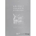 Gölgeli Sokağın Şiirleri - Kamil Uğurlu - Büke Yayınları