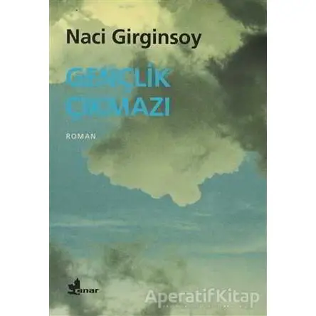 Gençlik Çıkmazı - Naci Girginsoy - Çınar Yayınları