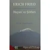 Erich Fried Adını Nereye Yazayım Senin Hayatı ve Şiirleri