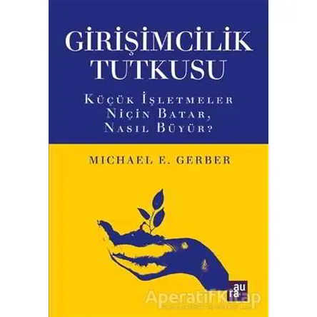 Girişimcilik Tutkusu - Michael E. Gerber - Aura Kitapları