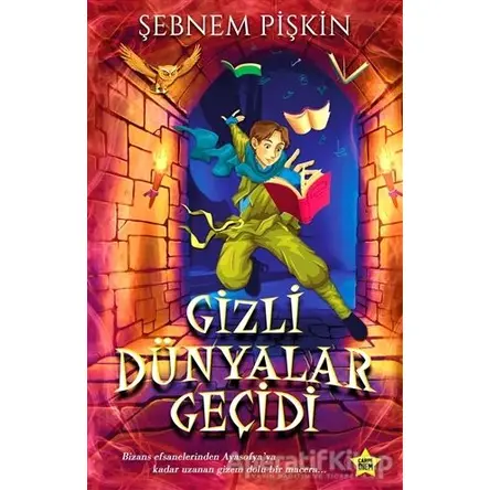 Gizli Dünyalar Geçidi - Şebnem Pişkin - Carpe Diem Kitapları