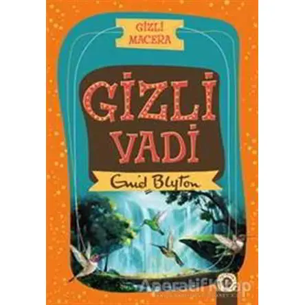 Gizli Macera: Gizli Vadi - Enid Blyton - Artemis Yayınları