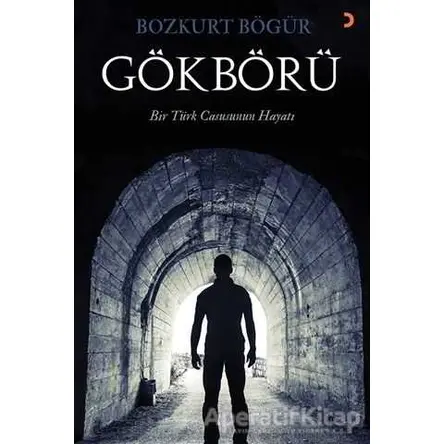 Gökbörü - Bozkurt Bögür - Cinius Yayınları