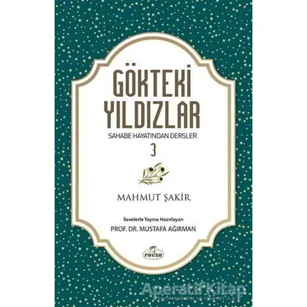 Gökteki Yıldızlar - 3 - Mustafa Ağırman - Ravza Yayınları