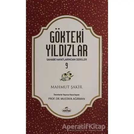 Gökteki Yıldızlar - 9 - Mahmut Şakir - Ravza Yayınları