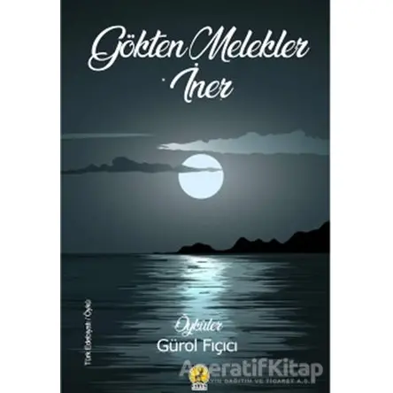 Gökten Melekler İner - Gürol Fıçıcı - Ceren Yayıncılık