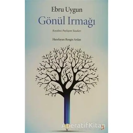 Gönül Irmağı - Ebru Uygun - Cinius Yayınları
