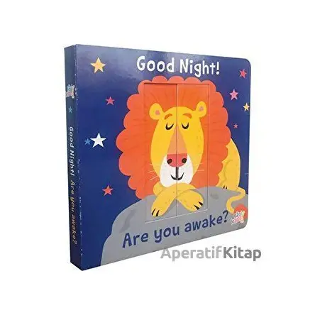 Good Night! Are You Awake? - Kolektif - Mikado Yayınları