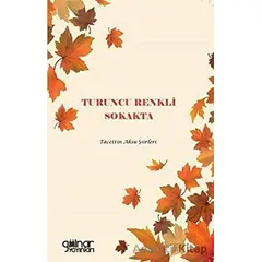 Turuncu Renkli Sokakta - Tacettin Aksu - Gülnar Yayınları