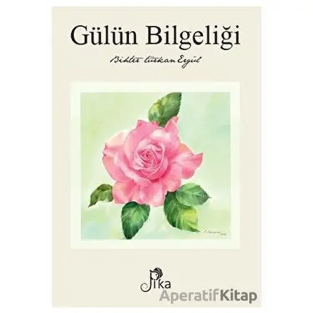 Gülün Bilgeliği - Bihter Türkan Ergül - Pika Yayınevi