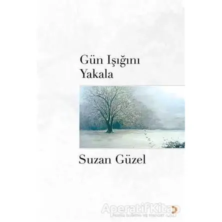 Gün Işığını Yakala - Suzan Güzel - Cinius Yayınları