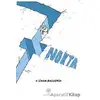 7 Nokta - V. Sinan Bozdemir - Platanus Publishing