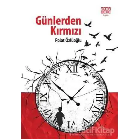 Günlerden Kırmızı - Polat Özlüoğlu - Nota Bene Yayınları