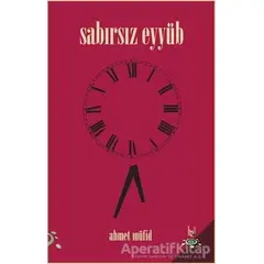 Sabırsız Eyyüb - Ahmet Müfid - h2o Kitap