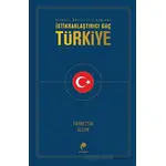 İstikrarlaştırıcı Güç Türkiye - Fahrettin Altun - Paradigma Yayıncılık