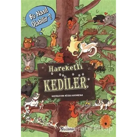 Hareketli Kediler - Bu Nasıl Olabilir? - Nicola Kucharska - Teleskop Popüler Bilim