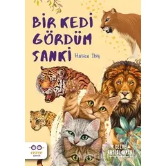 Bir Kedi Gördüm Sanki - Hatice İbiş - Cezve Çocuk