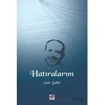 Hatıralarım - Sait Şahin - Dua Yayınları