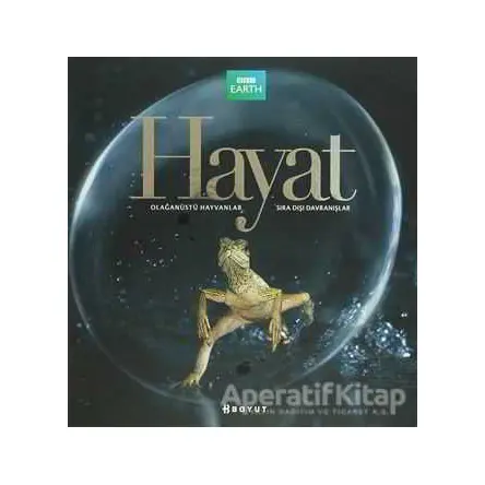 Hayat - Martha Holmes - Boyut Yayın Grubu