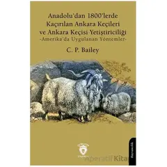 Anadolu’dan 1800’lerde Kaçırılan Ankara Keçileri ve Ankara Keçisi Yetiştiriciliği -Amerika’da Uygula