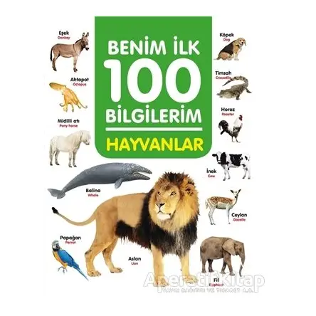 Hayvanlar - Benim İlk 100 Bilgilerim - Ahmet Altay - 0-6 Yaş Yayınları