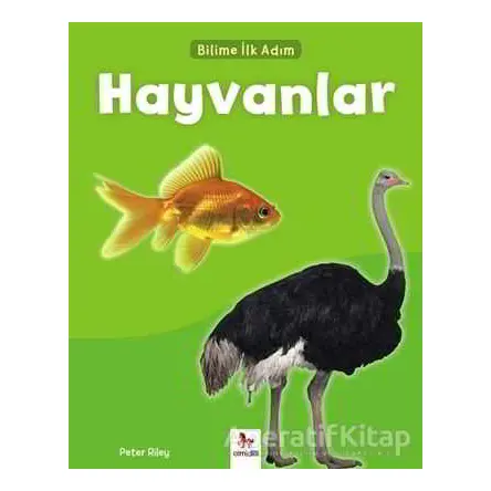 Hayvanlar - Bilime İlk Adım - Peter Riley - Almidilli