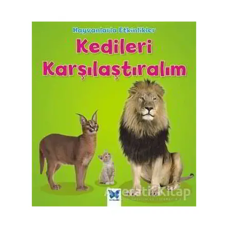 Hayvanlarla Etkinlikler - Kedileri Karşılaştıralım - Tracey Steffora - Mavi Kelebek Yayınları